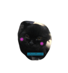 catbeam（個別スタンプ：8）