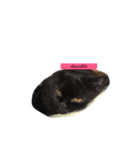 catbeam（個別スタンプ：9）