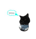 catbeam（個別スタンプ：11）