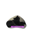 catbeam（個別スタンプ：16）