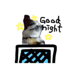 rikuchannnn（個別スタンプ：6）