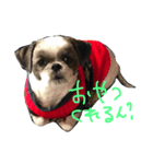 rikuchannnn（個別スタンプ：7）