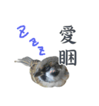 Dr. Yu and His Animals（個別スタンプ：1）
