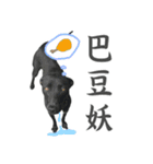 Dr. Yu and His Animals（個別スタンプ：2）