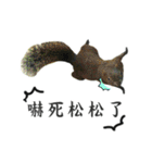 Dr. Yu and His Animals（個別スタンプ：4）