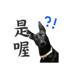 Dr. Yu and His Animals（個別スタンプ：9）