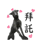Dr. Yu and His Animals（個別スタンプ：11）