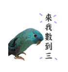 Dr. Yu and His Animals（個別スタンプ：18）