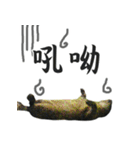 Dr. Yu and His Animals（個別スタンプ：19）