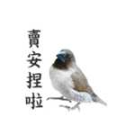 Dr. Yu and His Animals（個別スタンプ：20）