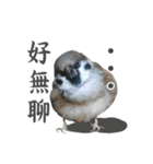 Dr. Yu and His Animals（個別スタンプ：24）