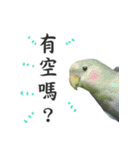 Dr. Yu and His Animals（個別スタンプ：36）