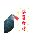 Dr. Yu and His Animals（個別スタンプ：39）