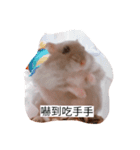 The lovely hamster（個別スタンプ：2）