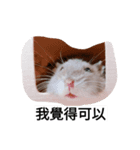 The lovely hamster（個別スタンプ：8）