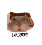 The lovely hamster（個別スタンプ：10）