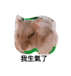 The lovely hamster（個別スタンプ：14）