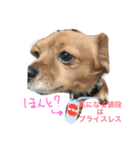 ちわっくすぽてとくんその2（個別スタンプ：7）