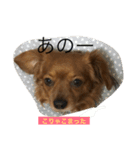 ちわっくすぽてとくんその2（個別スタンプ：15）