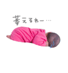 そらぼう（個別スタンプ：4）
