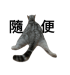 cutecatmi1.0（個別スタンプ：27）