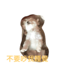 love cute Q bb（個別スタンプ：7）