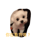 love cute Q bb（個別スタンプ：8）