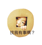 Xiao Bao（個別スタンプ：7）