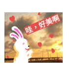 HAO HAO daily languages（個別スタンプ：5）
