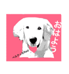 ベルクっち 2（個別スタンプ：1）