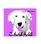 ベルクっち 2（個別スタンプ：3）