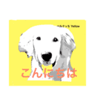 ベルクっち 2（個別スタンプ：5）