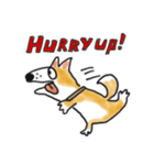 雑種犬のポコ（個別スタンプ：3）