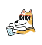 雑種犬のポコ（個別スタンプ：4）