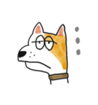 雑種犬のポコ（個別スタンプ：6）