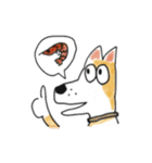 雑種犬のポコ（個別スタンプ：19）
