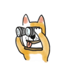 雑種犬のポコ（個別スタンプ：27）