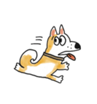 雑種犬のポコ（個別スタンプ：36）