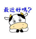 Naughty Cow 4 - Dramatic Life（個別スタンプ：29）