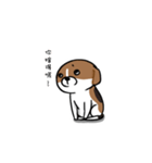 Dy-Dy（個別スタンプ：1）
