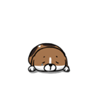 Dy-Dy（個別スタンプ：14）