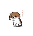 Dy-Dy（個別スタンプ：16）