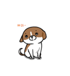 Dy-Dy（個別スタンプ：24）