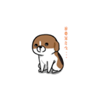 Dy-Dy（個別スタンプ：25）
