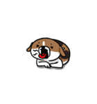 Dy-Dy（個別スタンプ：31）