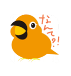 コガネメキシコインコ（個別スタンプ：3）