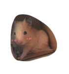cuteee hamster（個別スタンプ：7）