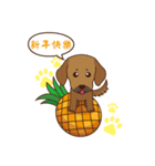 Good luck dog（個別スタンプ：2）