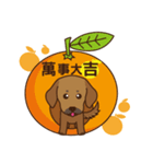 Good luck dog（個別スタンプ：7）