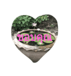 Heart lotus thai text（個別スタンプ：3）